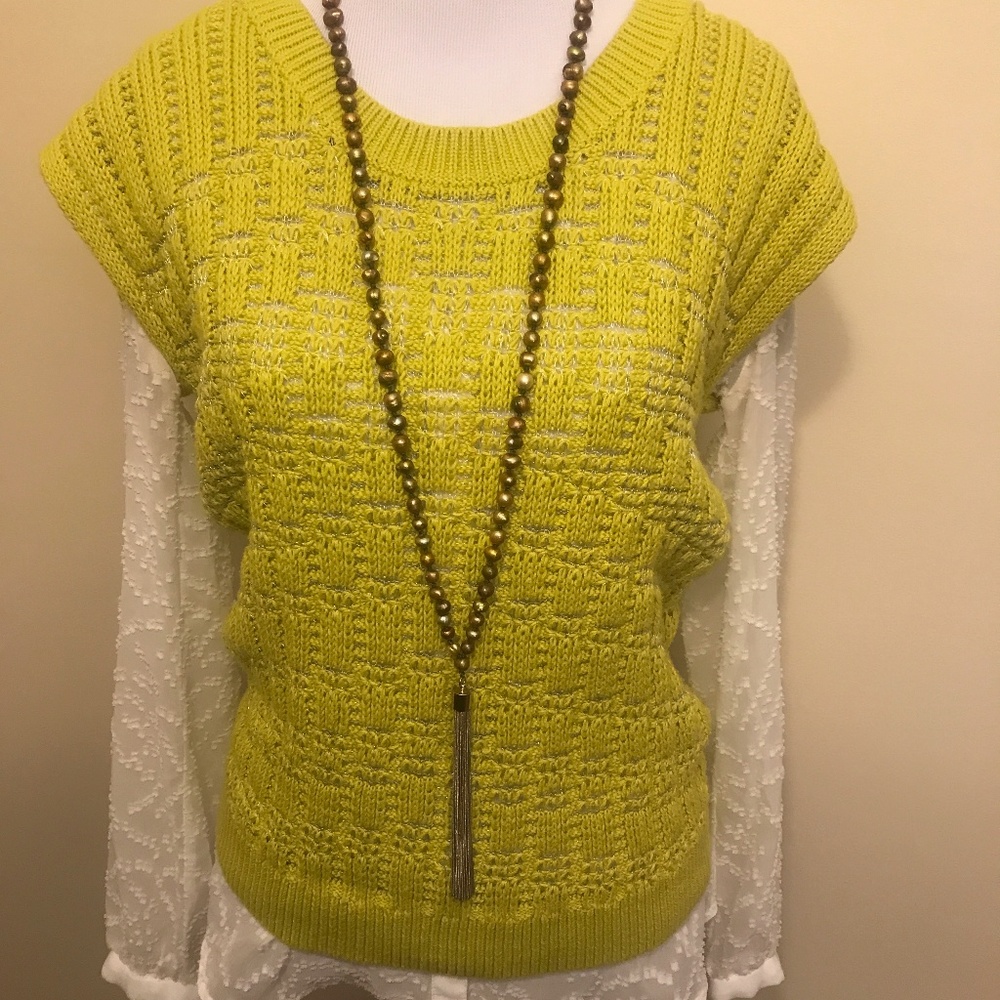 💥Ann Taylor Sweater Vest💥
